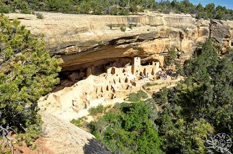 Cliff Palace Overlook