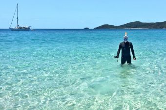 Whitsunday Island Reef