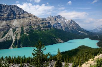 Peyto Lake vom Bow Summit Lookout