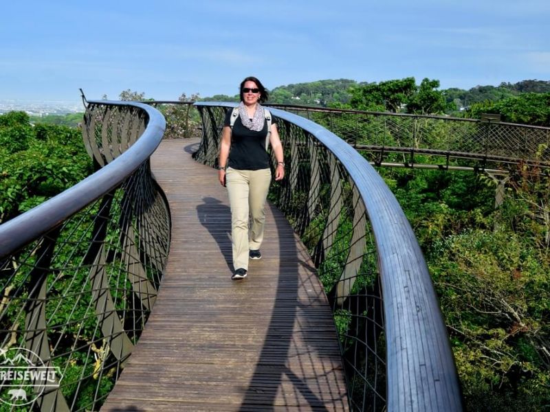 kirstenbosch_blog.jpg