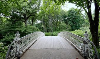 Gothic Bridge, Central Park