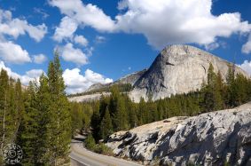 Tuolumne Meadows