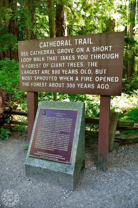 Eingang Cathedral Grove