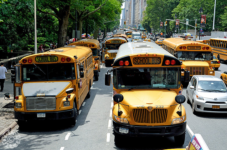 Schulbusse, West Central Park